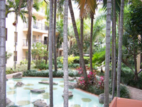 Palm Beach 1