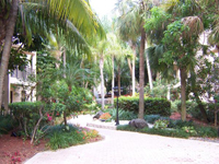 Palm Beach 2